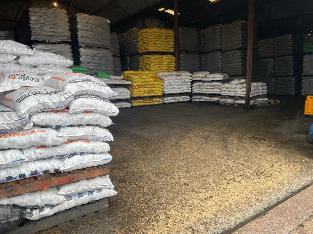 Coal and Gas - Image 2