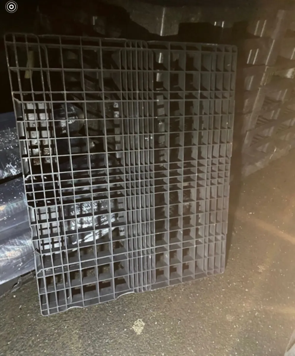 Heavy duty plastic pallets - Image 2