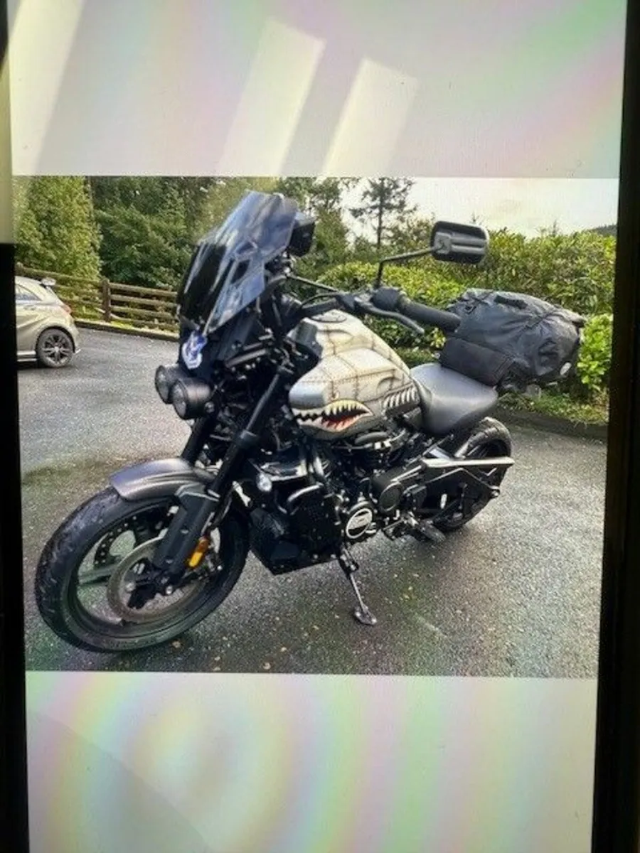 HARLEY DAVIDSON Pan America 1250 custom - Image 3