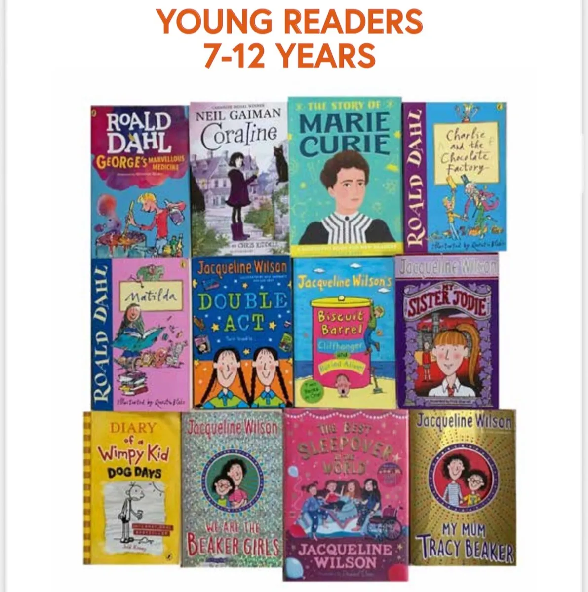 Kids Books - 7-10yrs - Fiction -  Football - GAA - Image 4