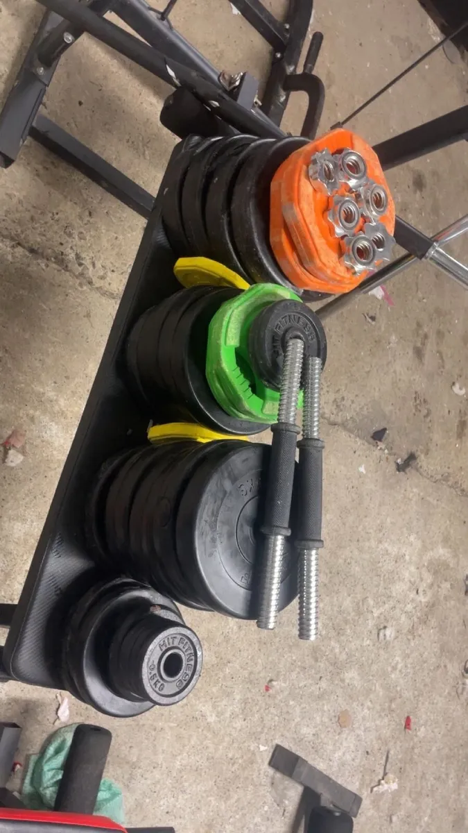 Multigym and weights- free weights and dumbells - Image 2