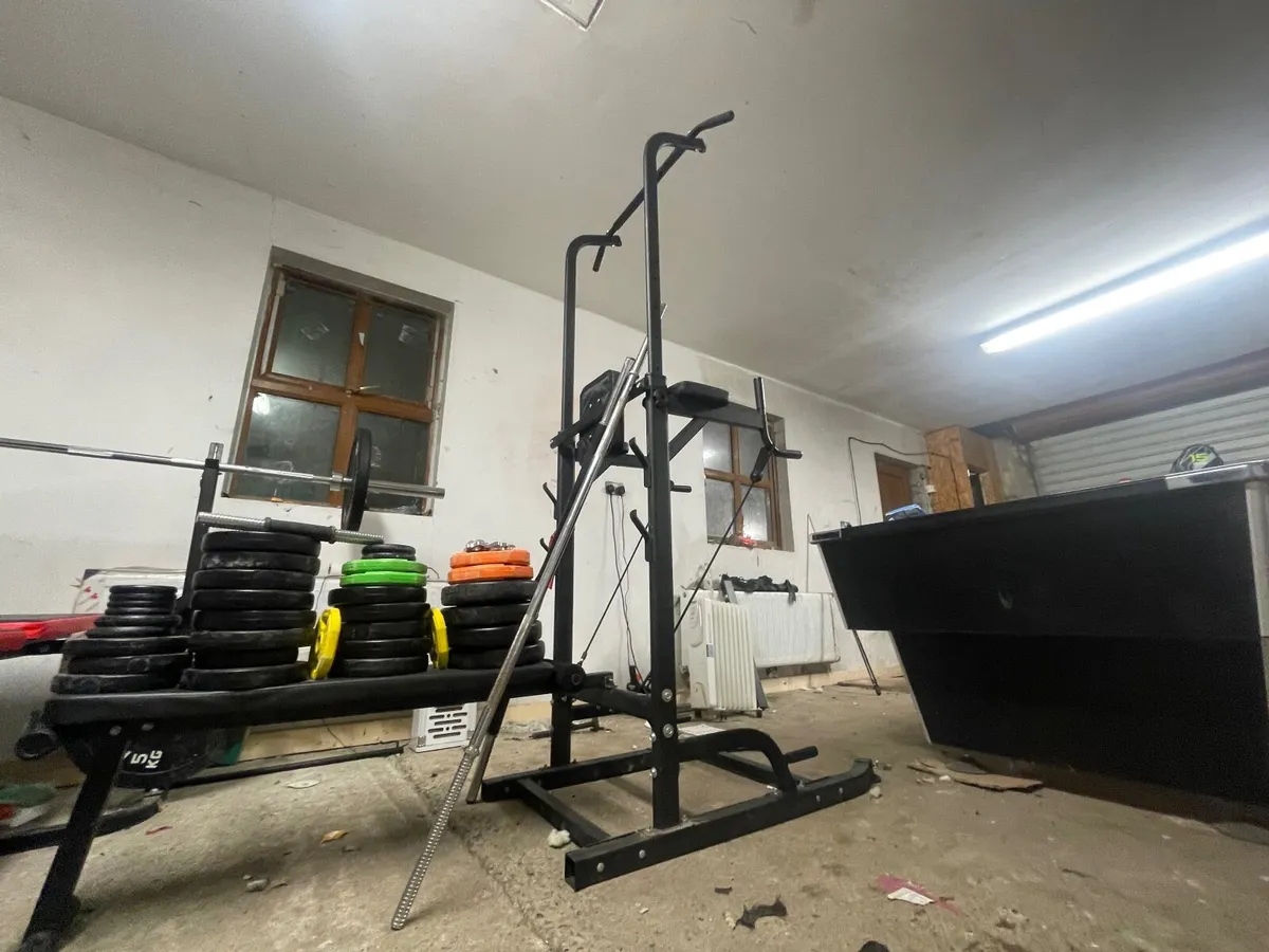 Multigym and weights- free weights and dumbells - Image 1