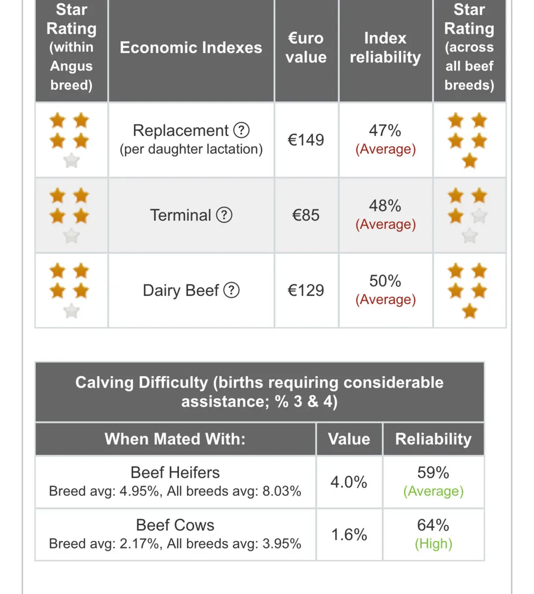 Pedigree Angus Heifers 5 ⭐️⭐️⭐️⭐️⭐️ - Image 2