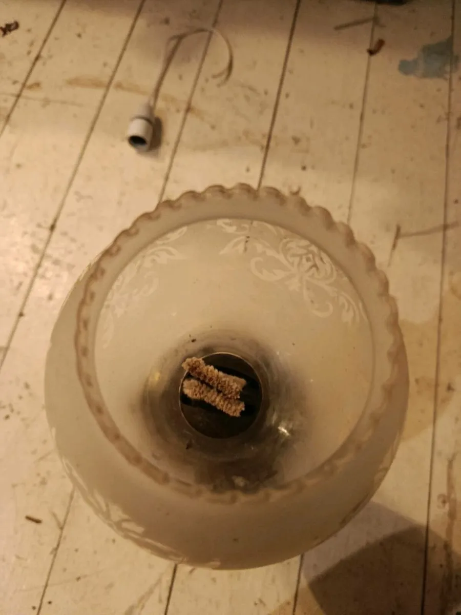 Interesting old valuable pieces - Image 3