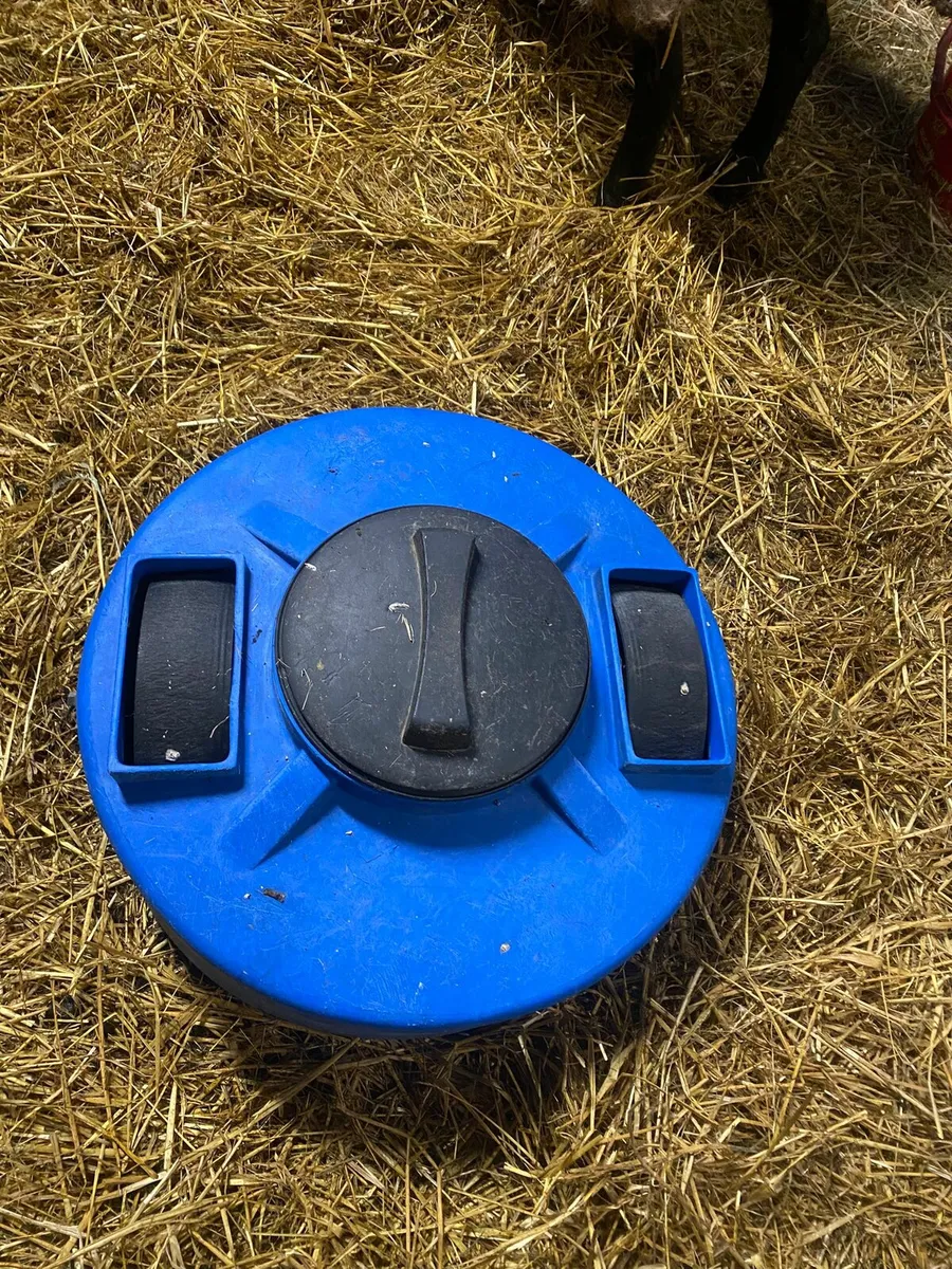 Sheep equipment - Image 2