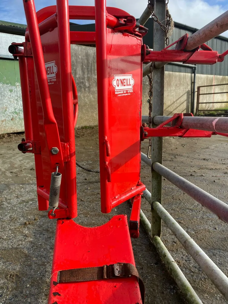 Sheep equipment - Image 3