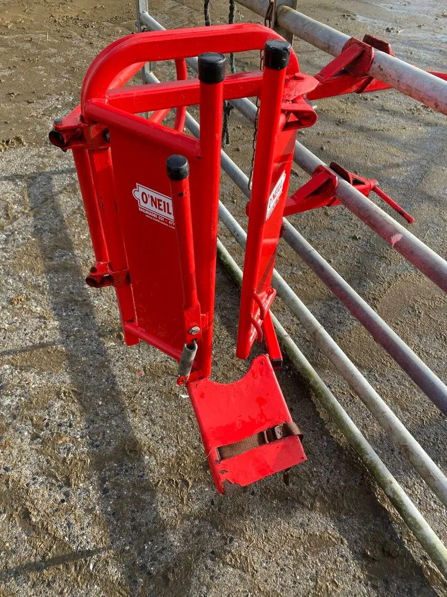 Sheep equipment - Image 4