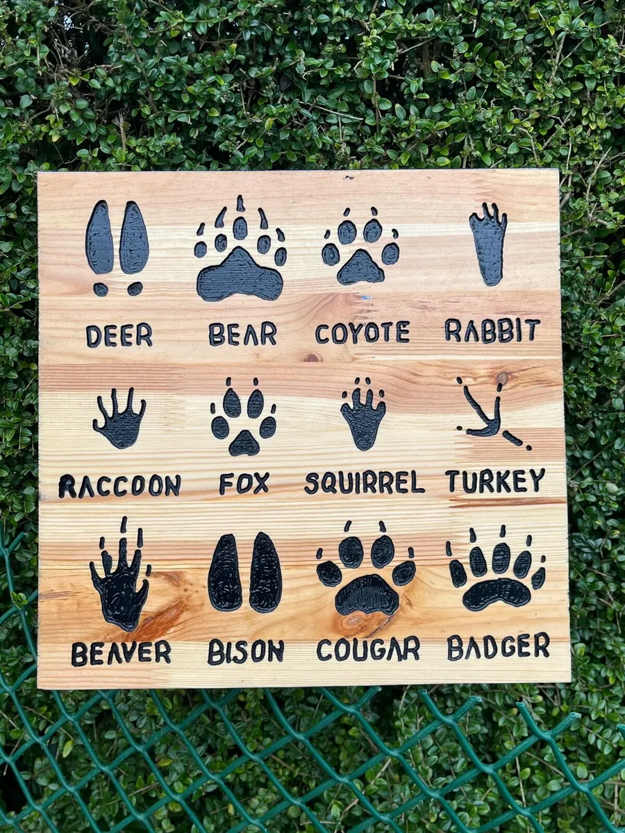 Wildlife tracks - Handmade Wooden Wall Art - Image 1