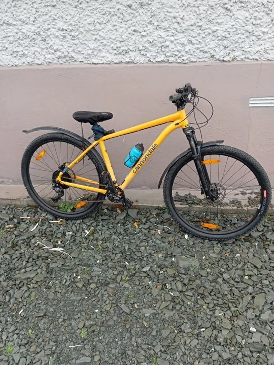 Mountain Trail Bike - Image 1