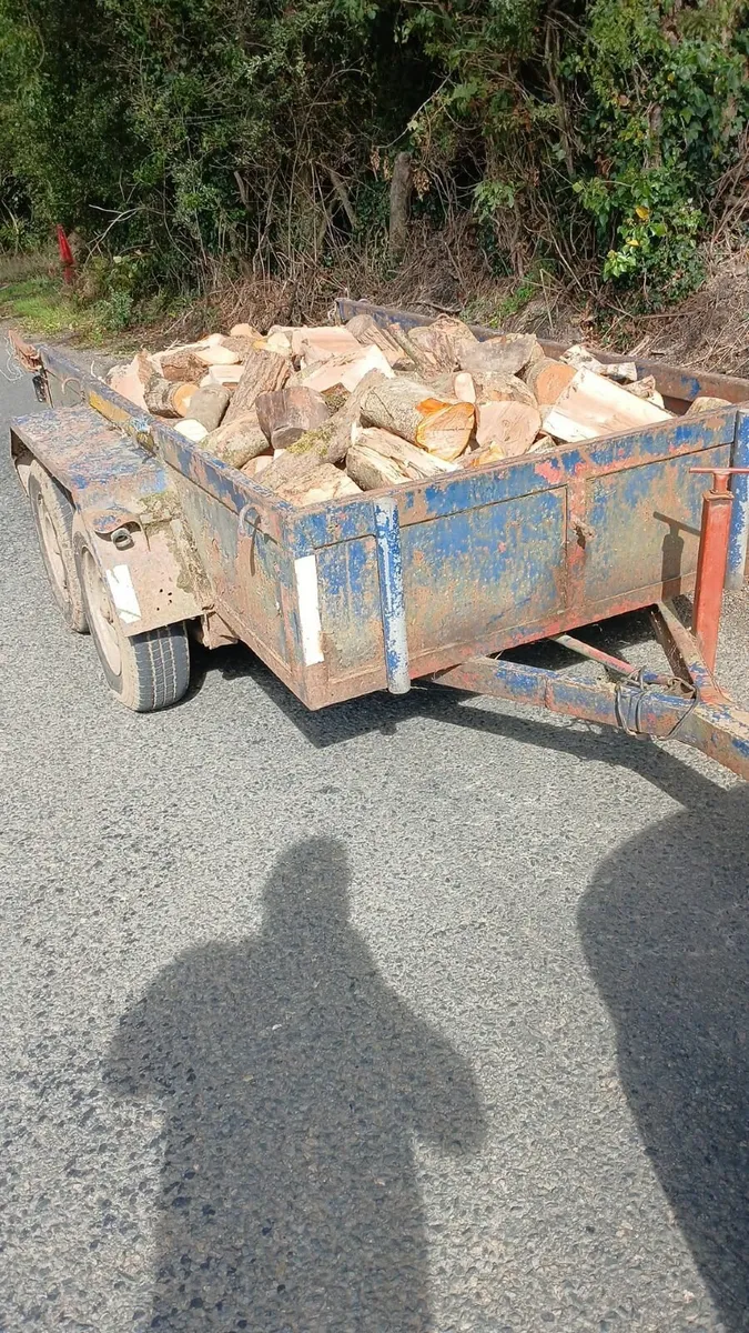 Trailer loads of seasoned hardwood firewood - Image 3