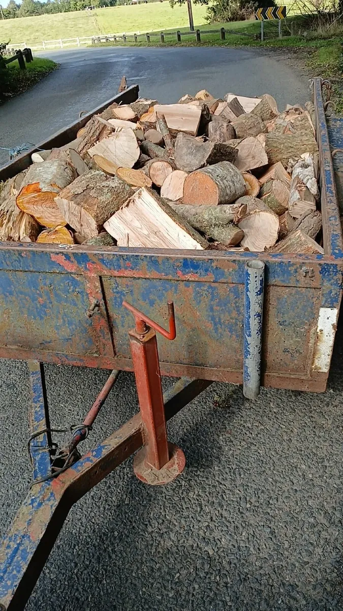 Trailer loads of seasoned hardwood firewood - Image 4