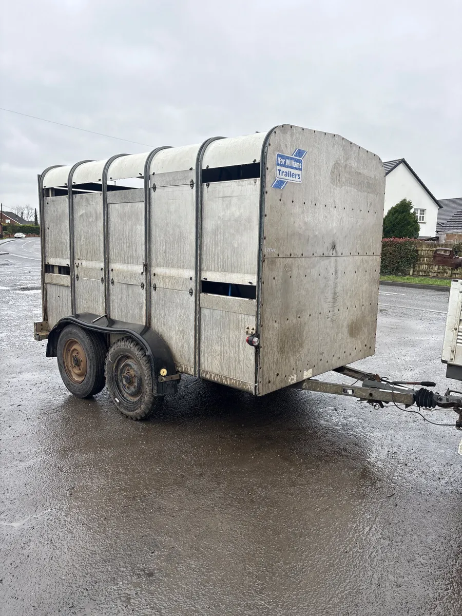 Ifor Williams 10x6 cattle trailer - Image 1