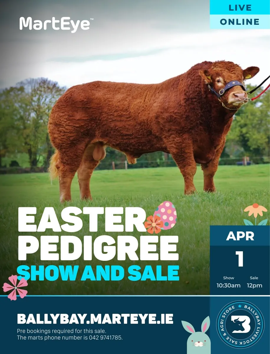 Ballybay Mart Easter Pedigree Sale April 1st