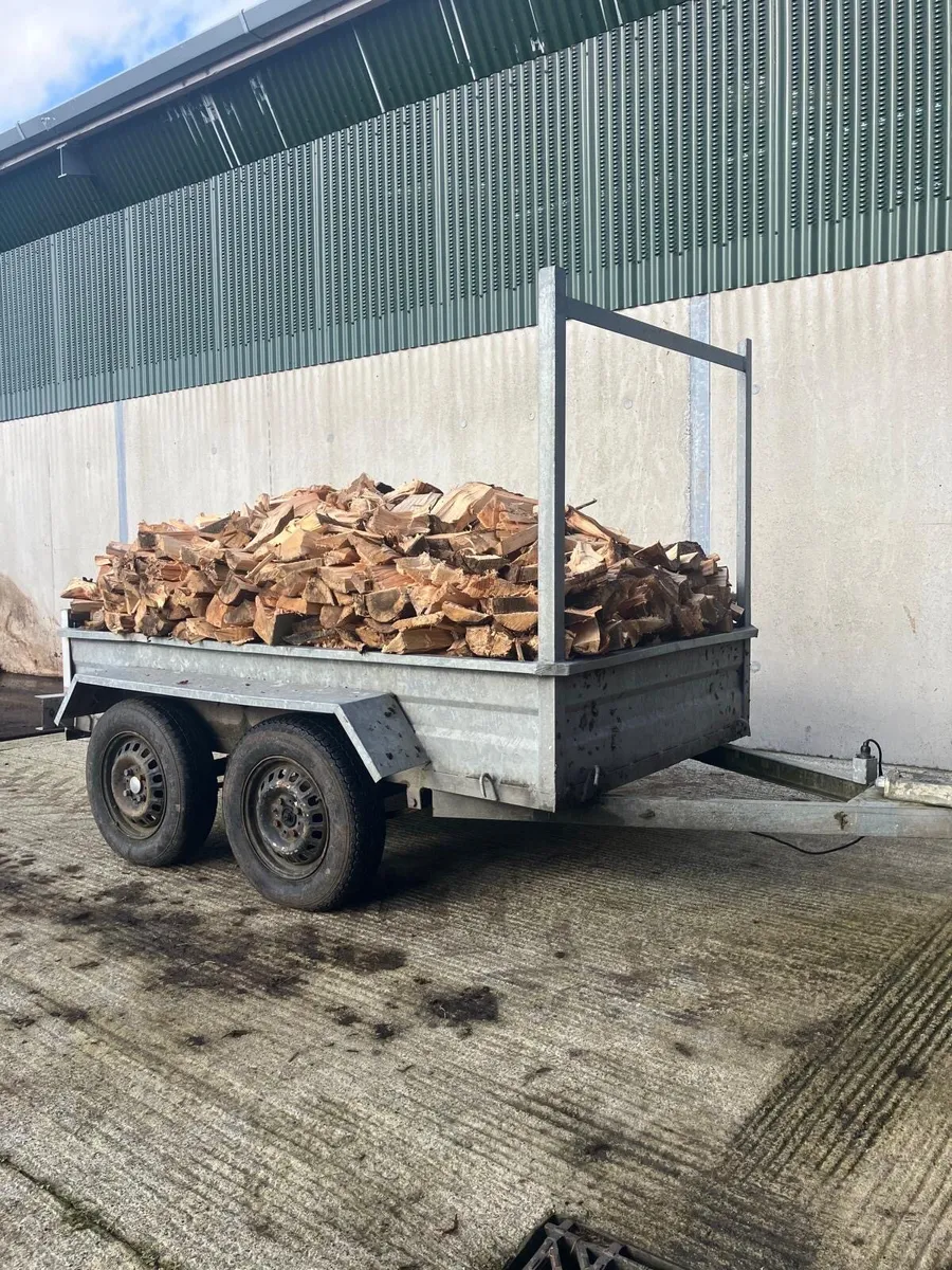 Firewood - Image 3