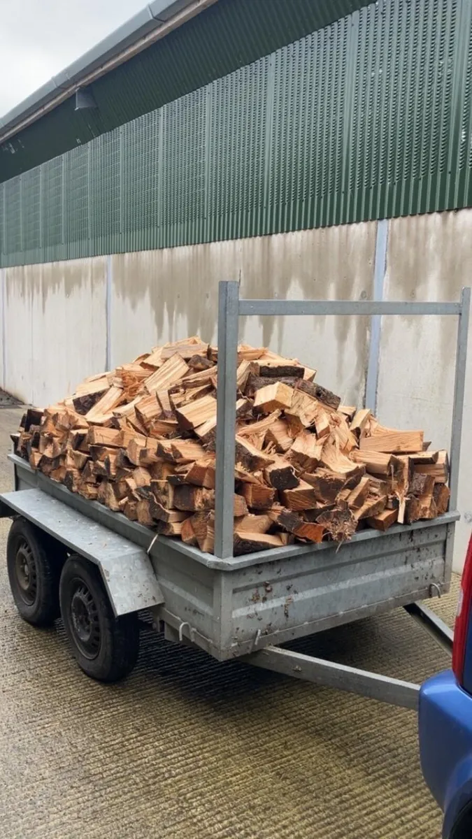 Firewood - Image 2