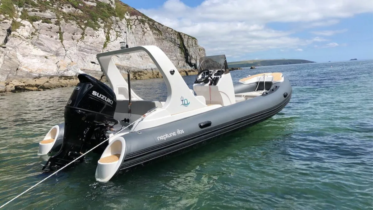 Neptune 580 with Suzuki 115hp - Image 1