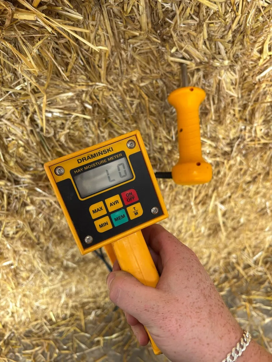 Square bales of straw - Image 3