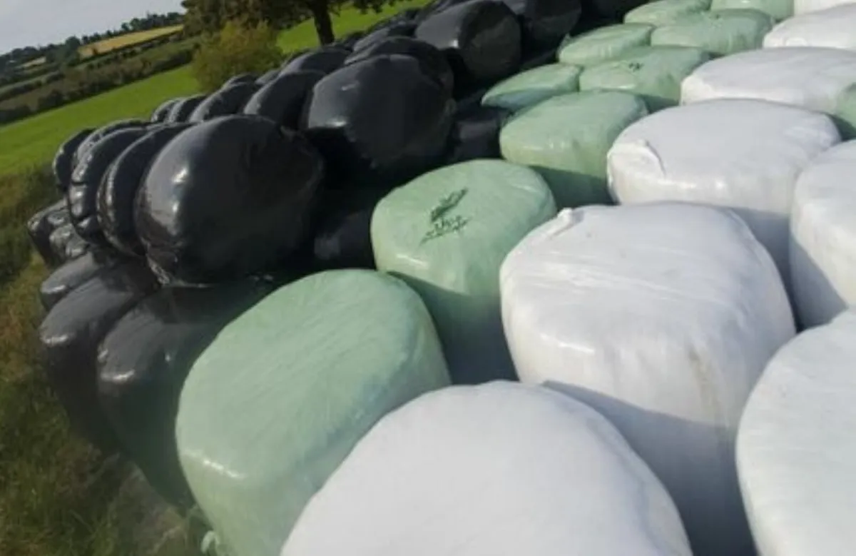 Silage bales - Image 2