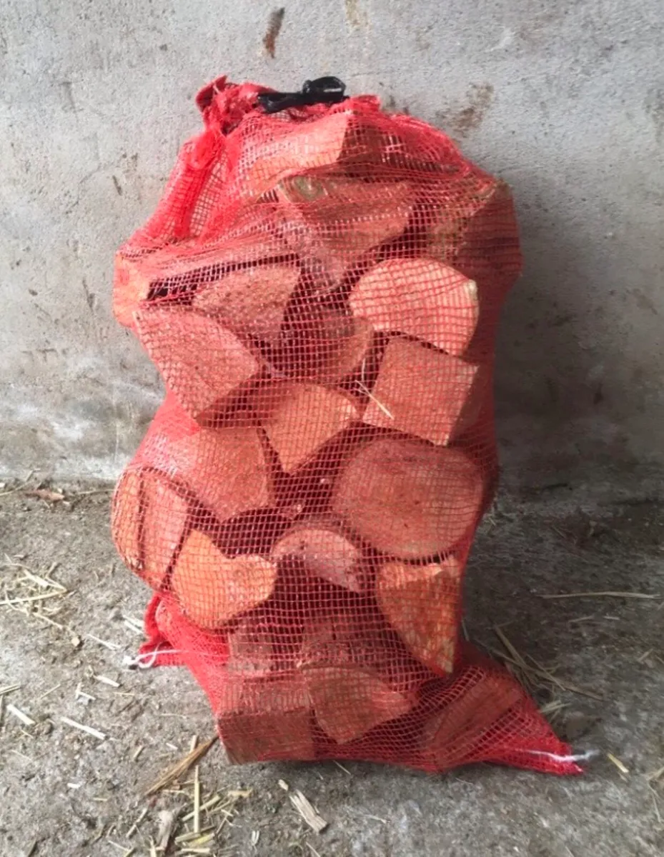 Dry Ash and Beech firewood - Image 1