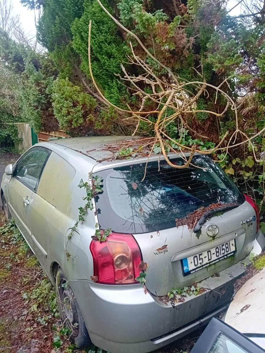 TOYOTA COROLLA VAN 1.4 D4D - Image 2