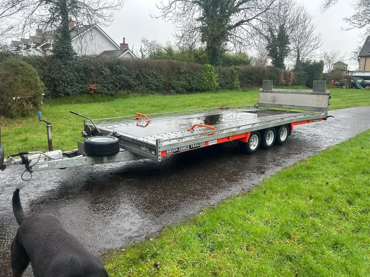 Brain James T6 - Image 1