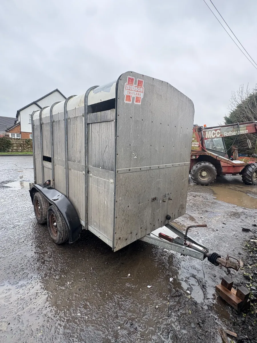 Hudson 10ft cattle trailer - Image 1