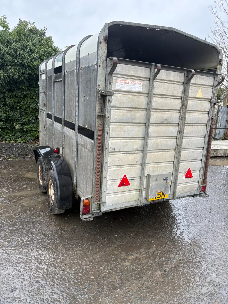 Hudson 10ft cattle trailer - Image 2