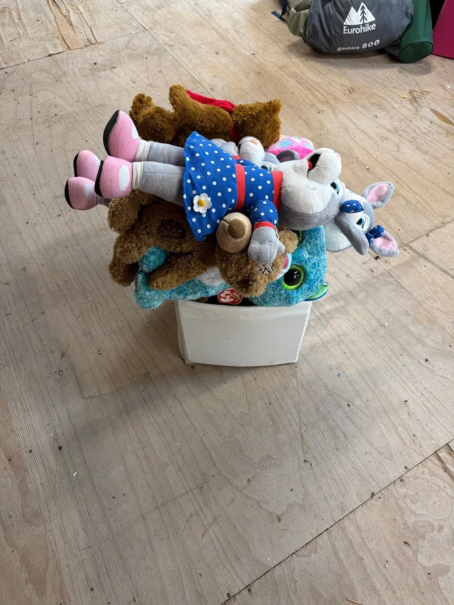Box full of teddies