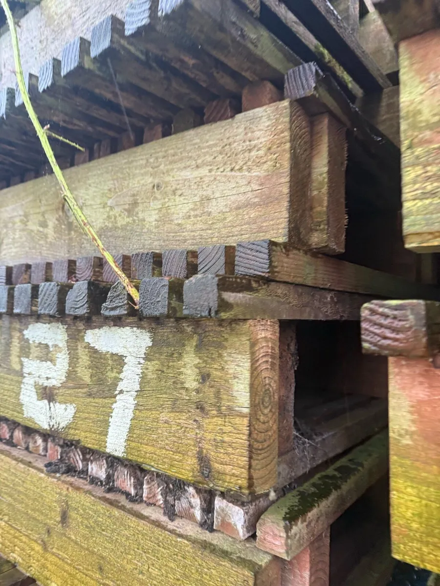 Sheep Slats - Image 2