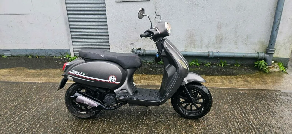 Neco azzuro 50 - Image 2