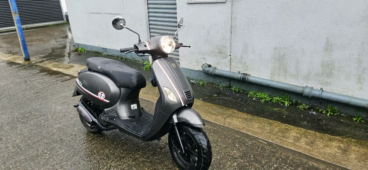 Neco azzuro 50 - Image 3