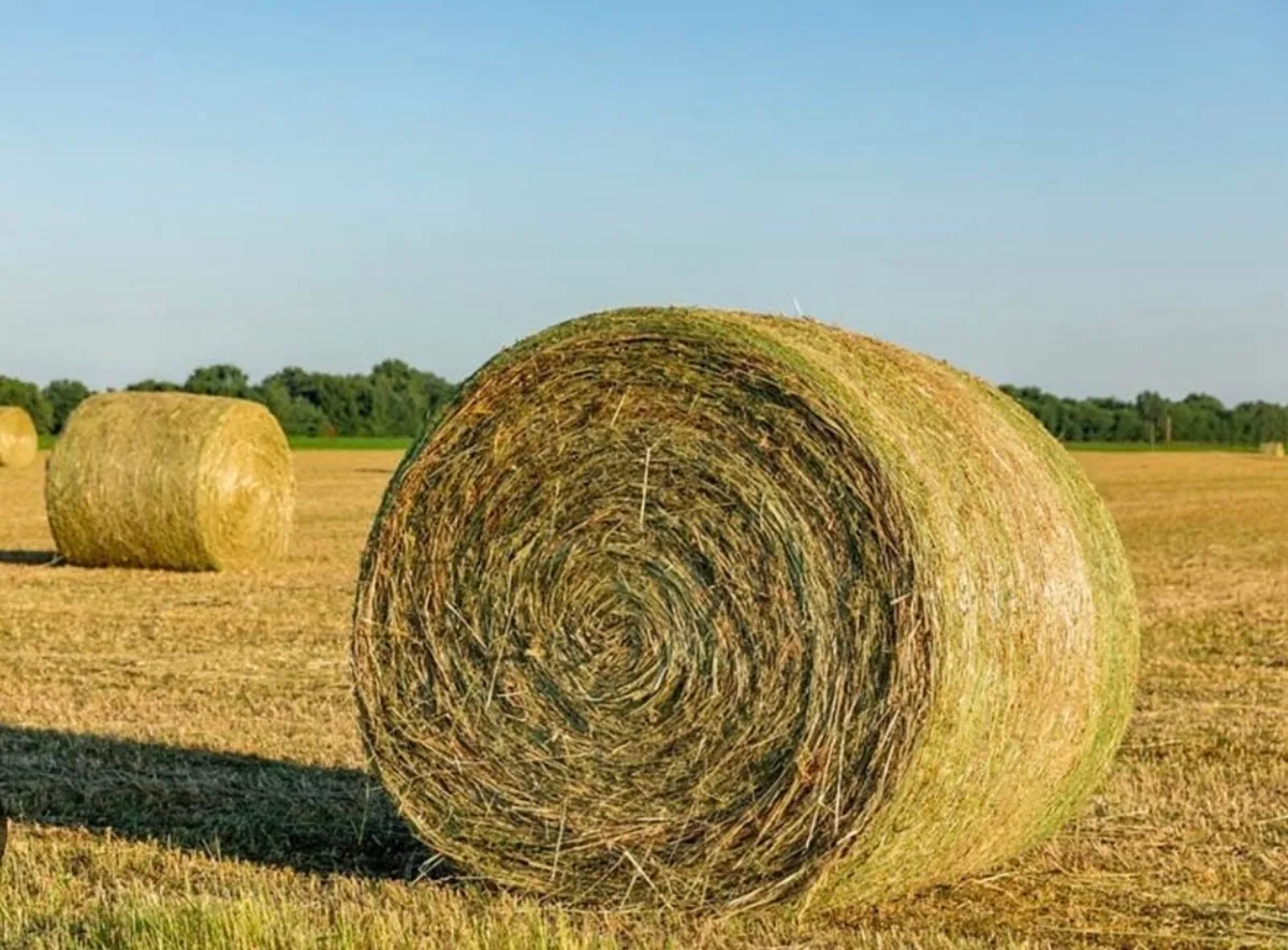 Hay bales