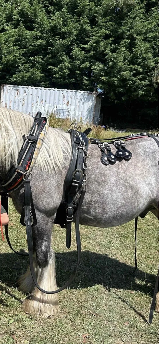 Heavy trade harness - Image 1