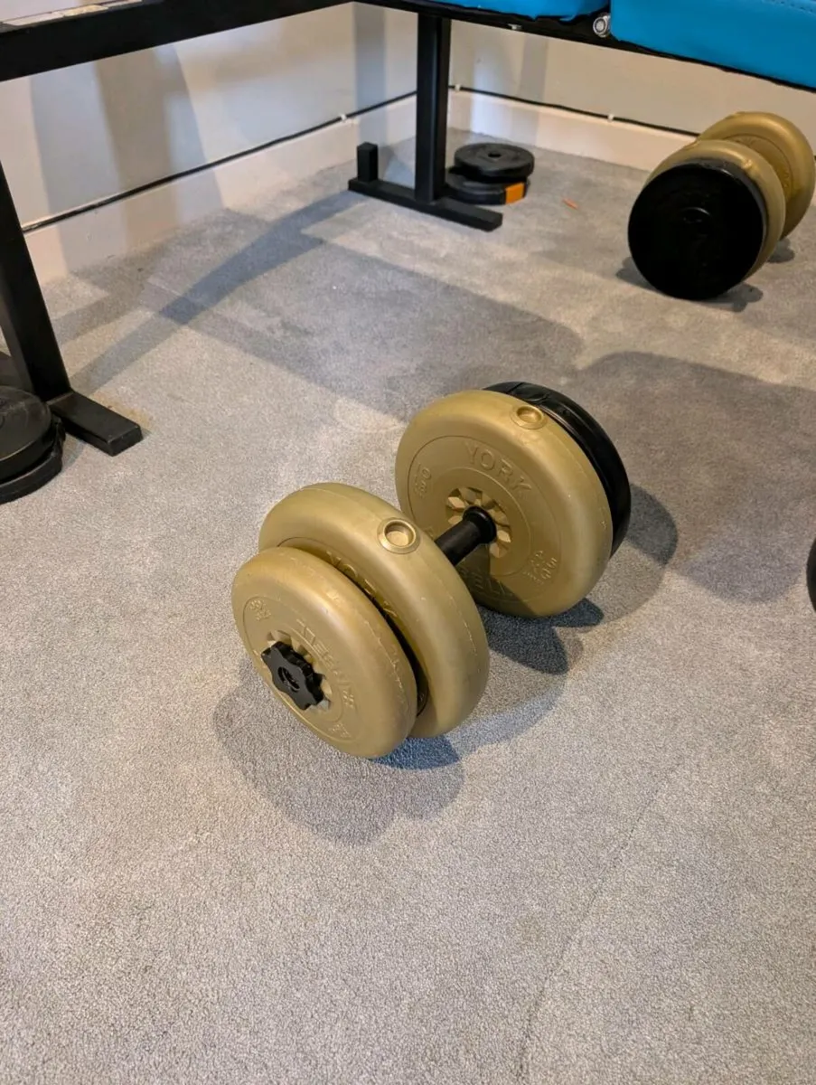 Bench Press and Free Weights - Image 3