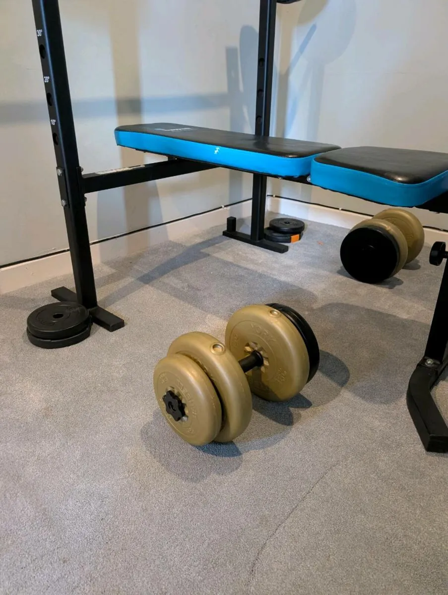 Bench Press and Free Weights - Image 4