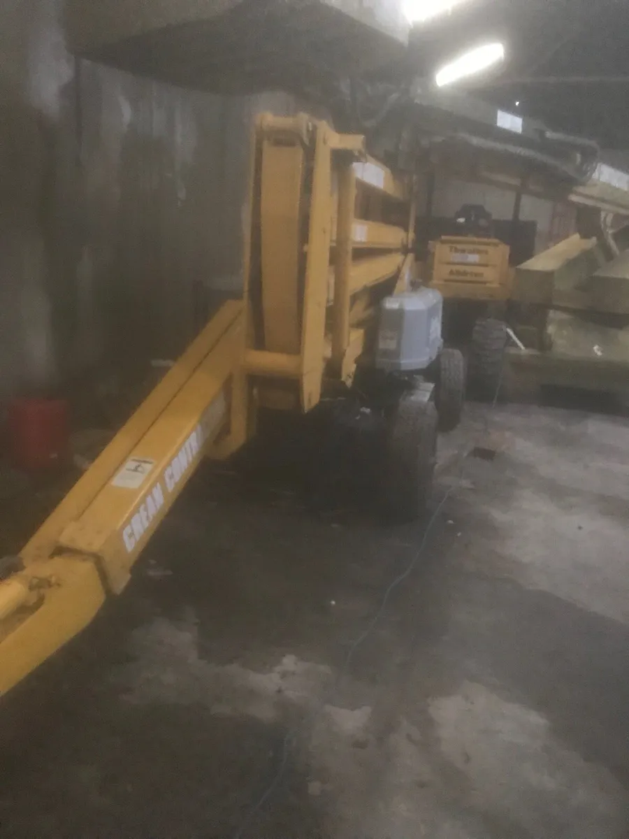 Cherry picker - Image 4