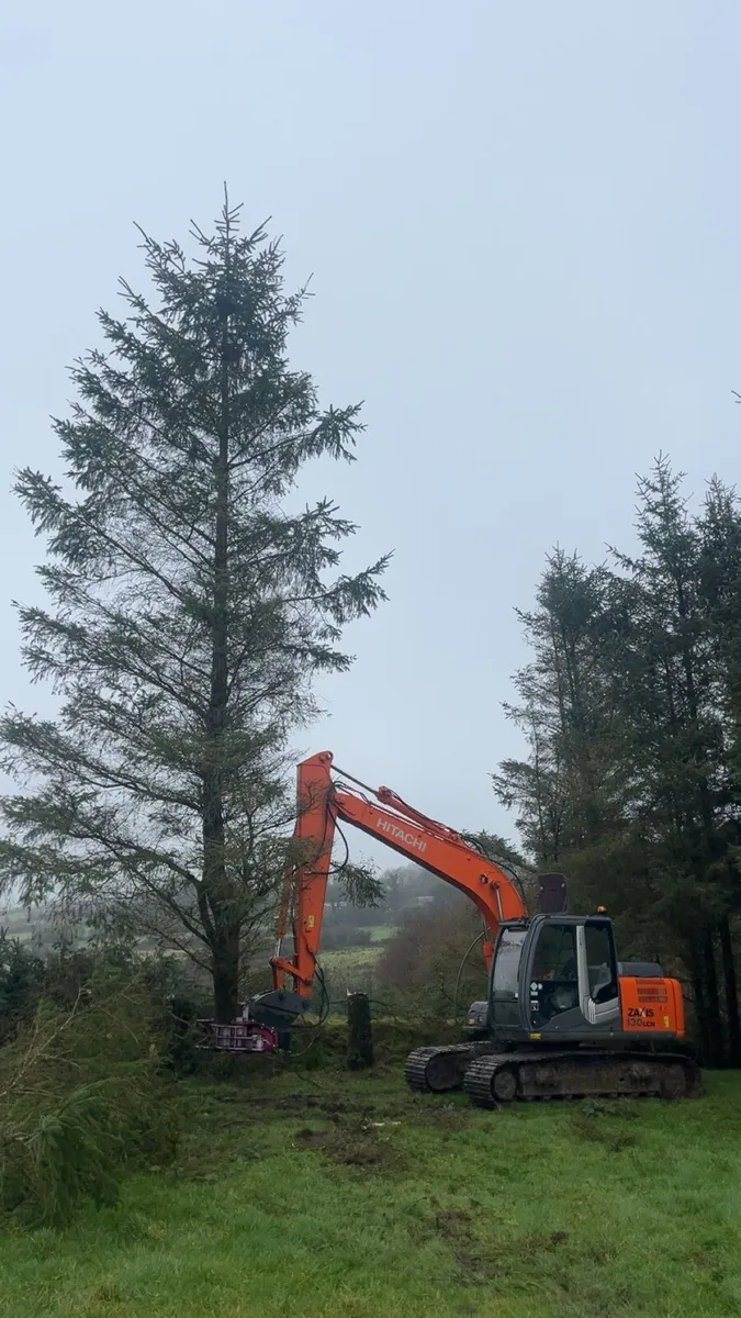 Mulching and Tree Shearing - Image 2