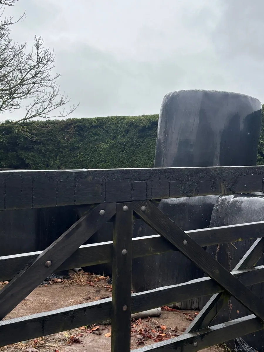 Haylage - Image 2