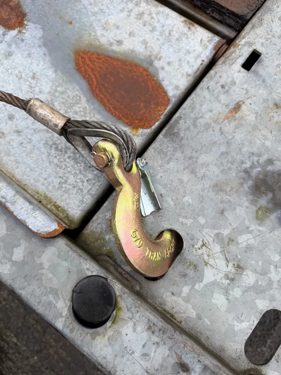 Brian James AUCTION car transporter - Image 2