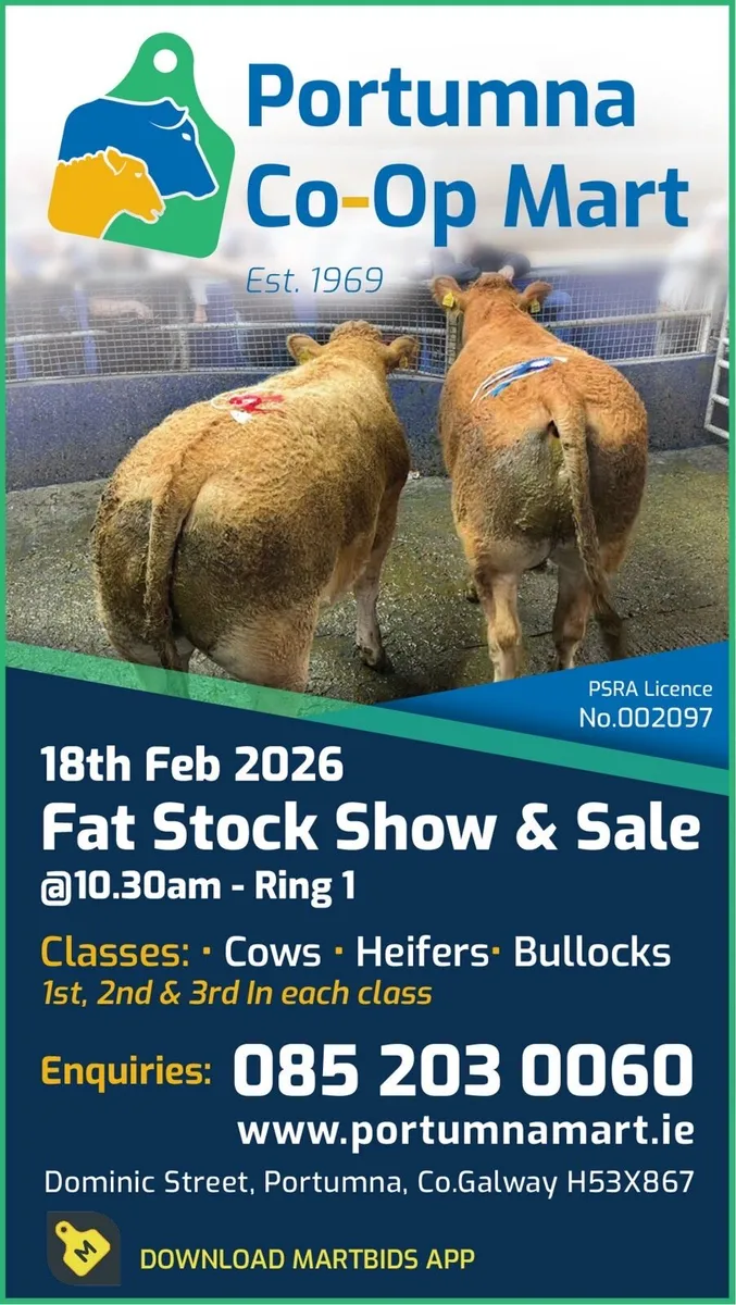 Fatstock Show and Sale - Image 1