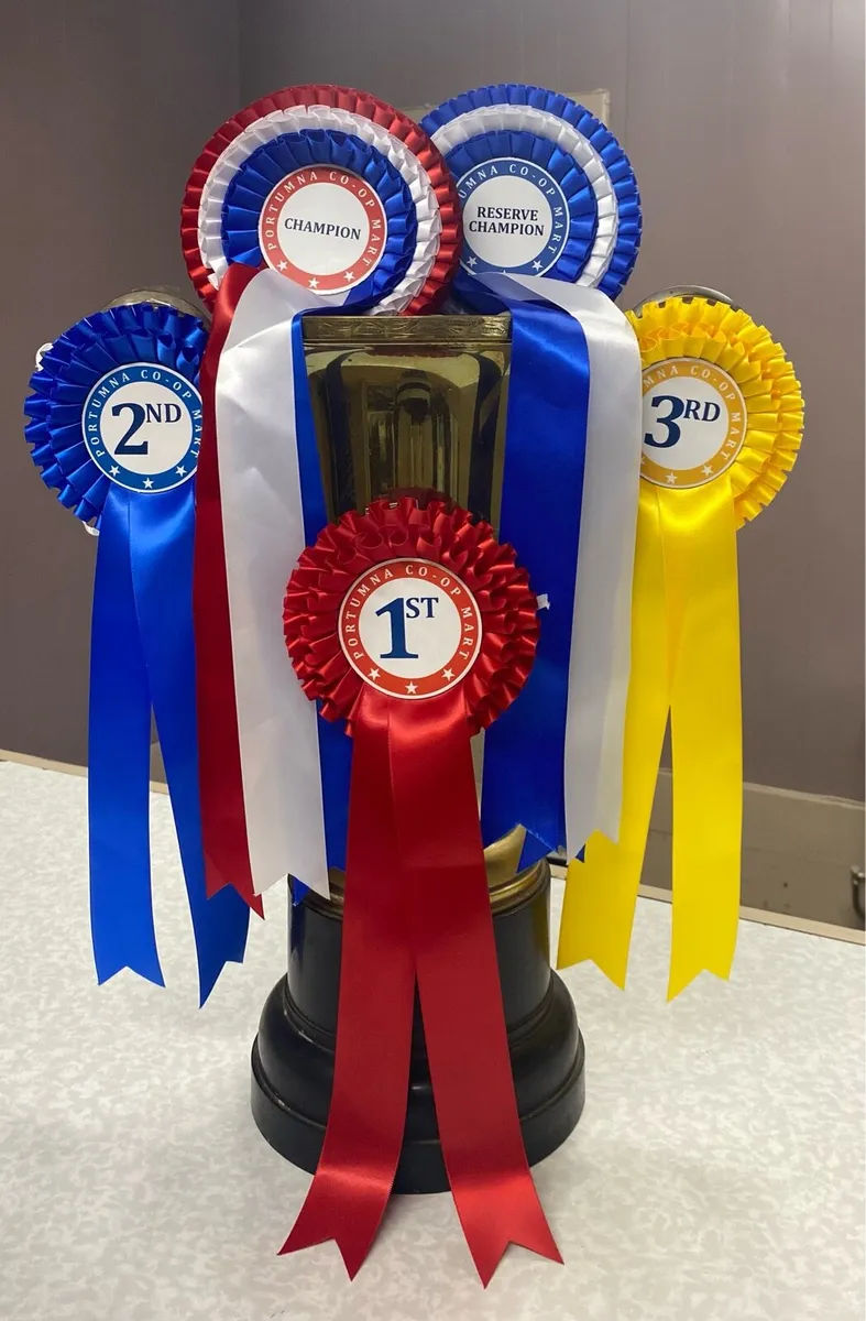 Fatstock Show and Sale - Image 2