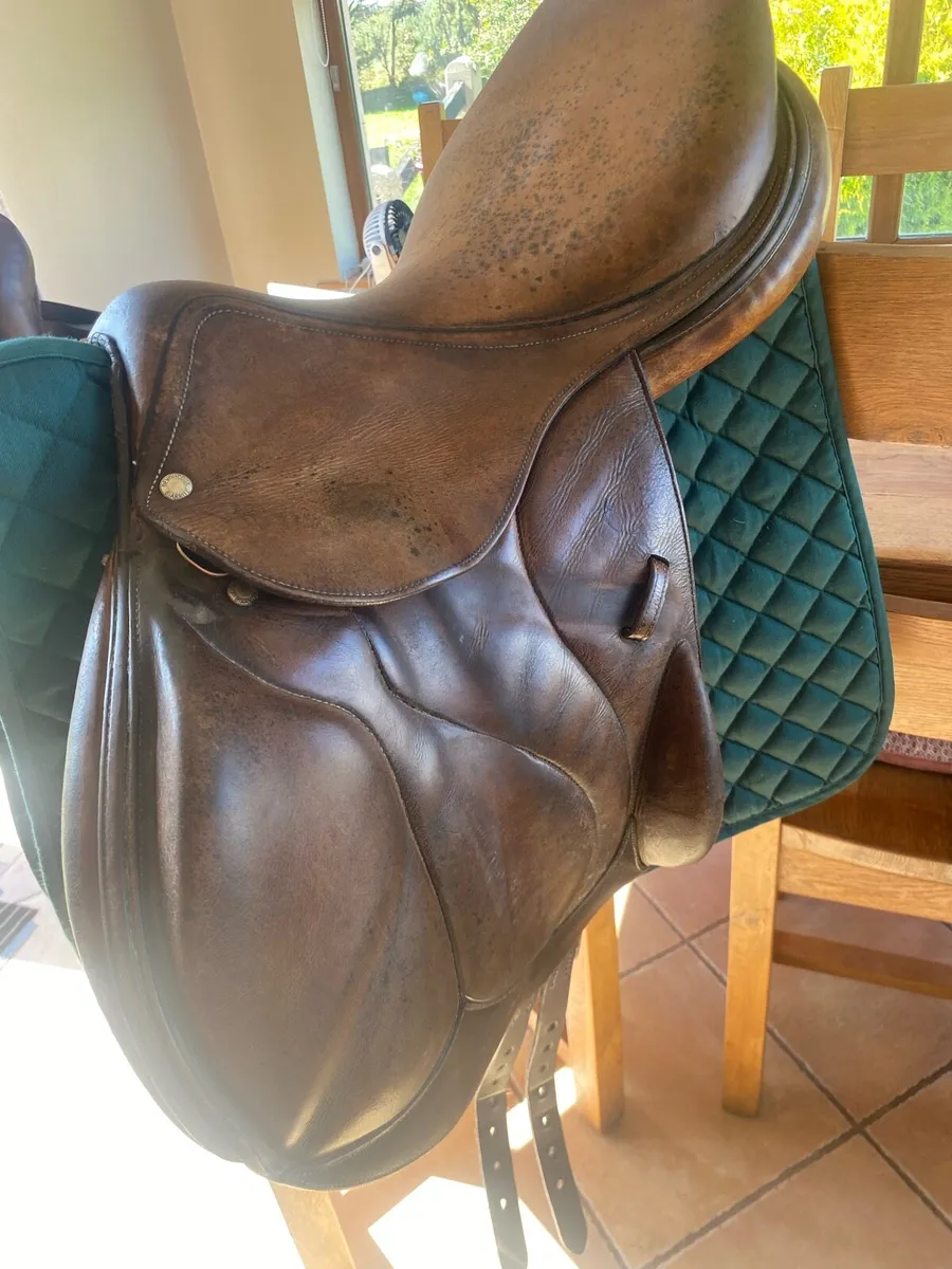 Devoucoux Saddle - Image 2