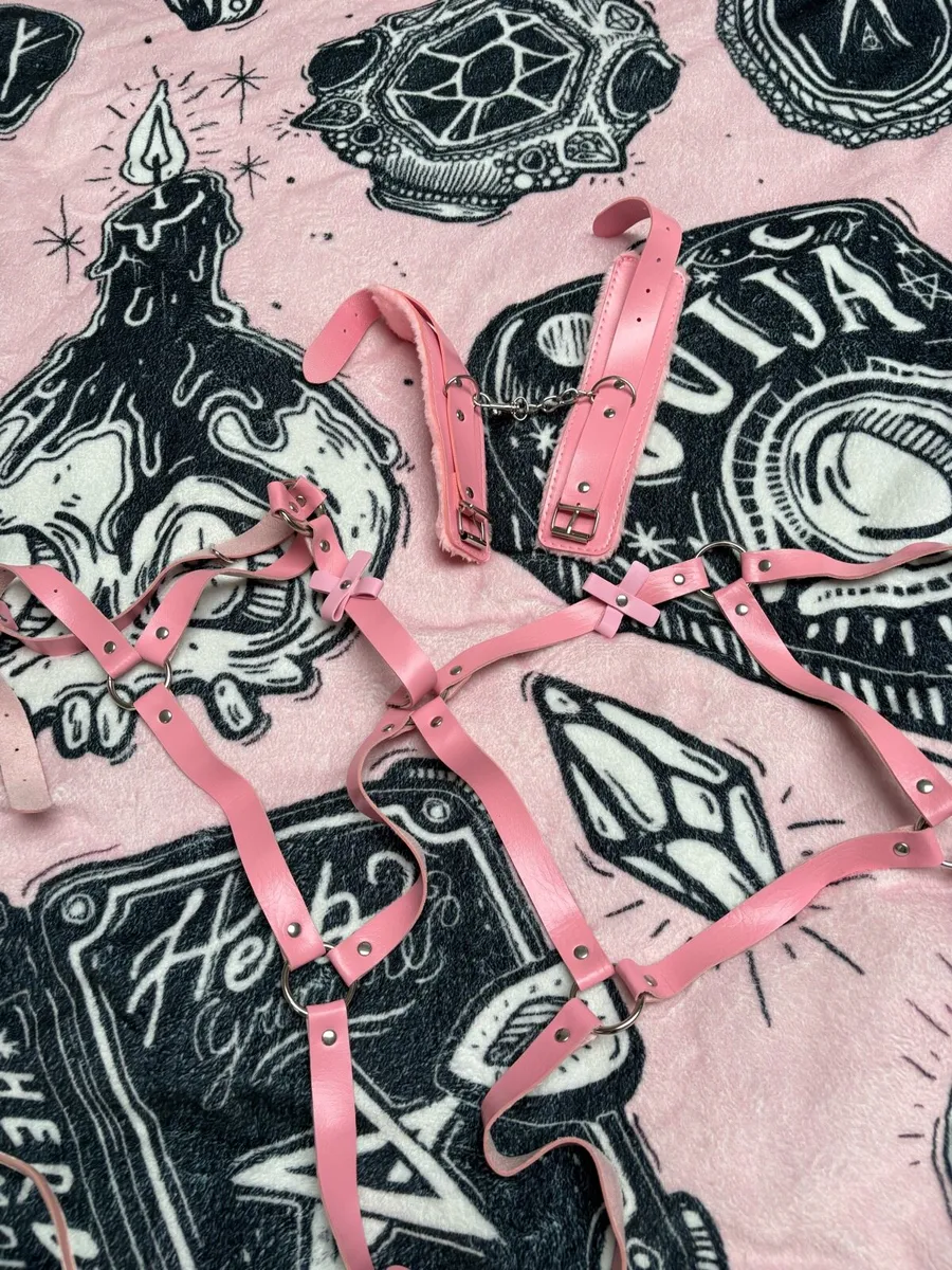 Leather Harness set - Image 1