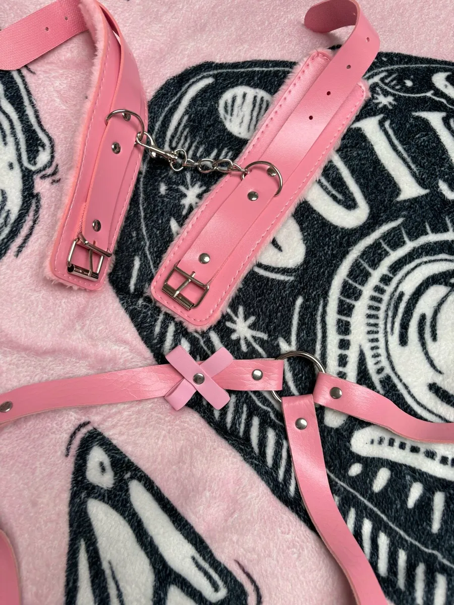 Leather Harness set - Image 2