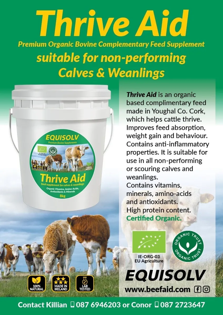 Premium Bovine Supplements - Image 2
