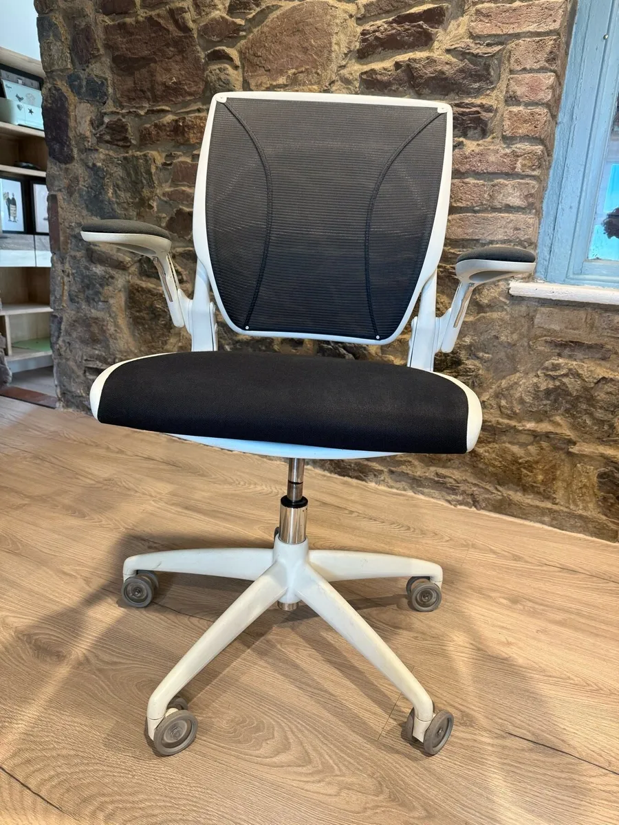 Humanscale Diffrient World Ergonomic Office Chair - Image 1