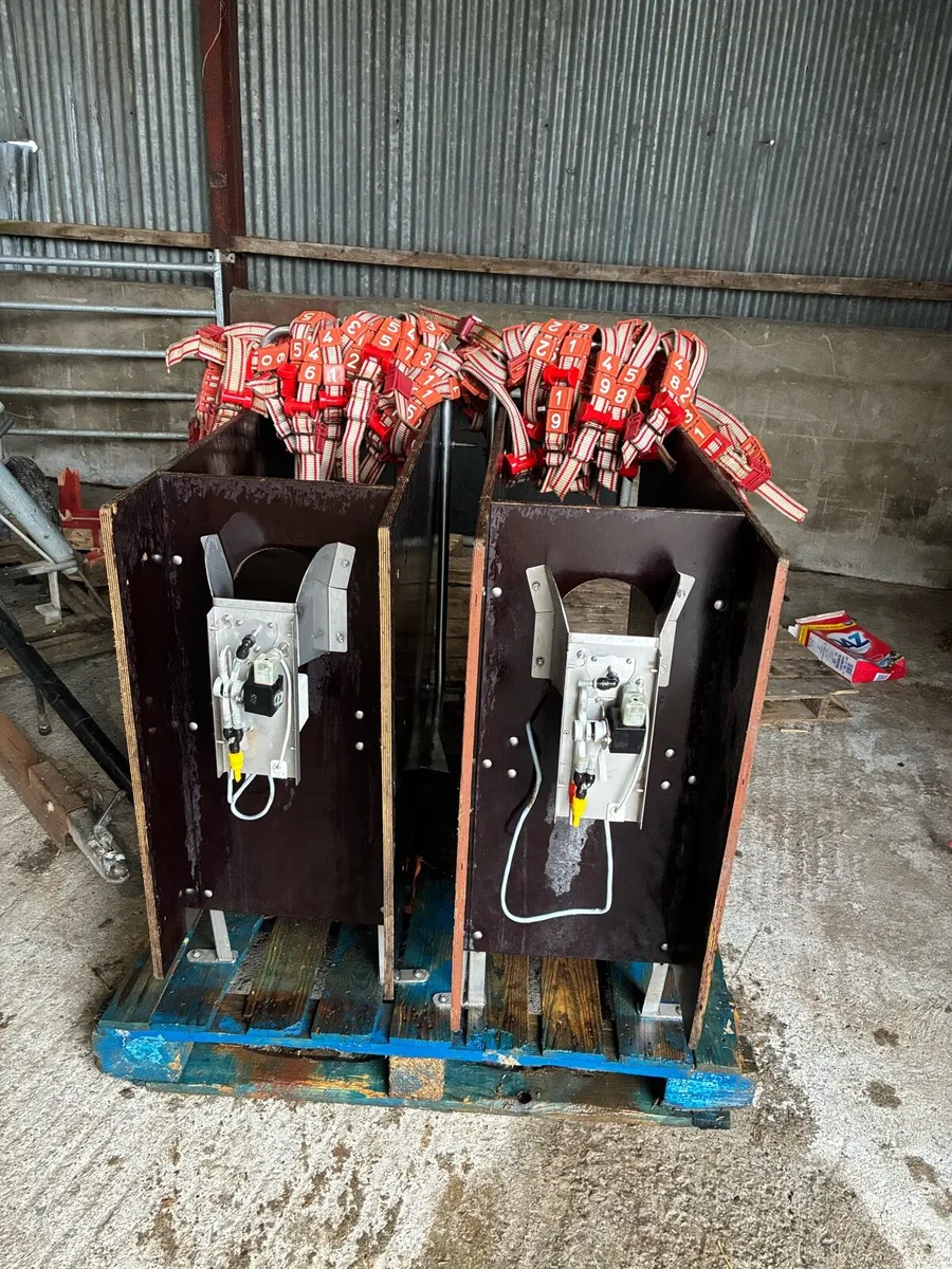 Calf feeder - Image 4