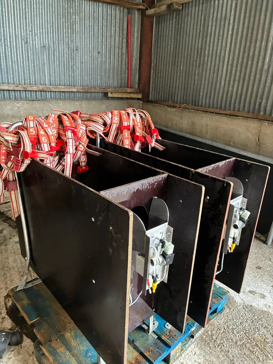 Calf feeder - Image 3