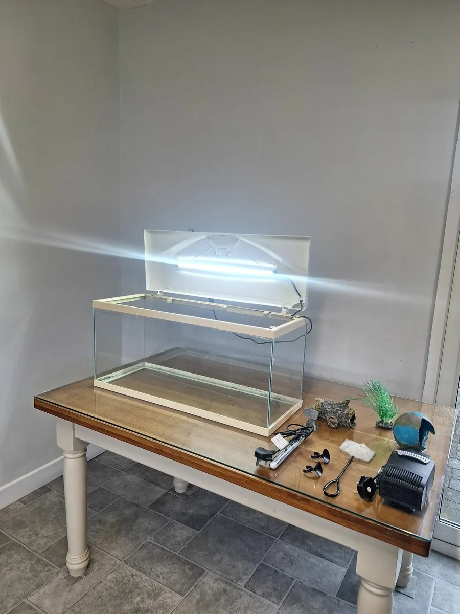 Fish Tank. - Image 1