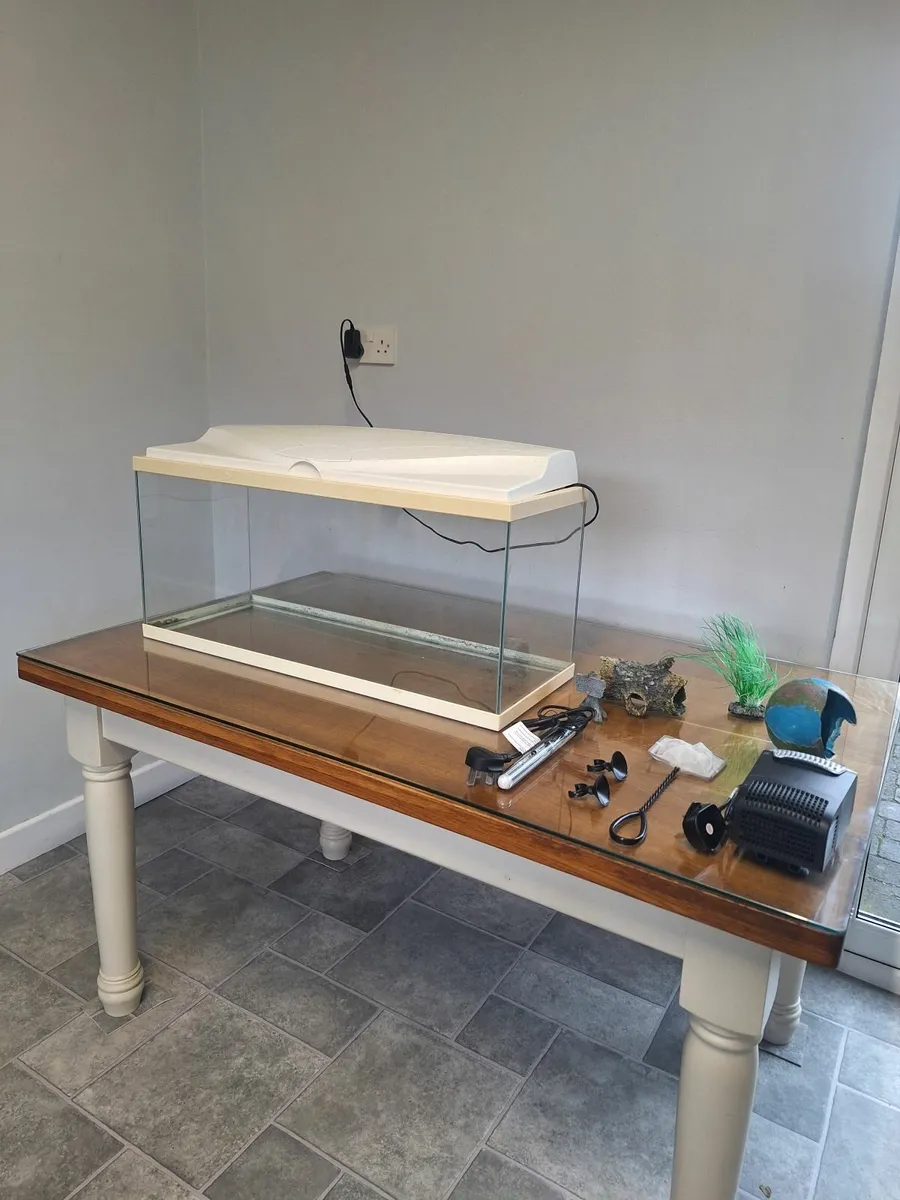 Fish Tank. - Image 2